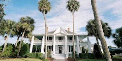 The Palm Mansion The Palm Mansion